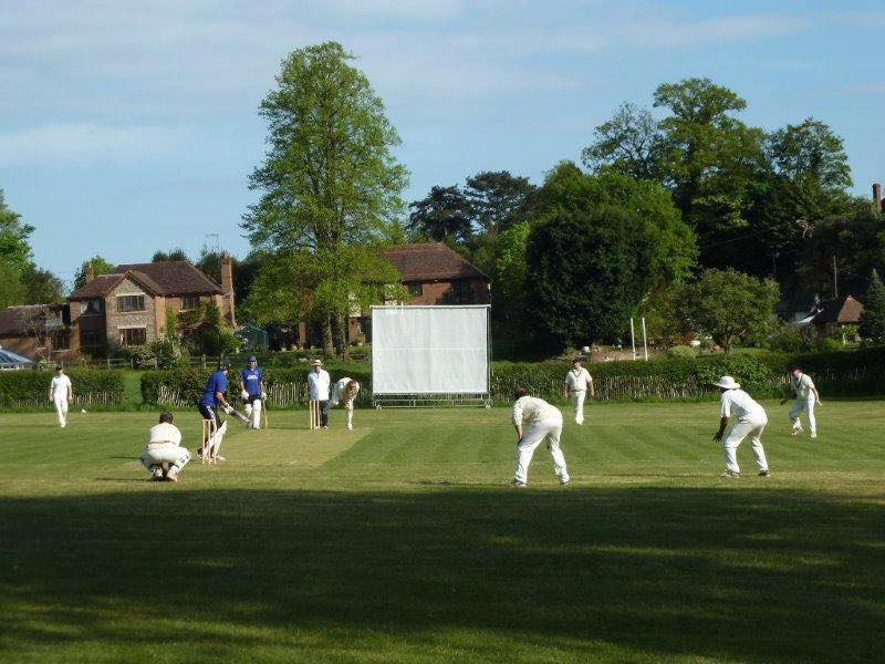 Photograph of a cricket match