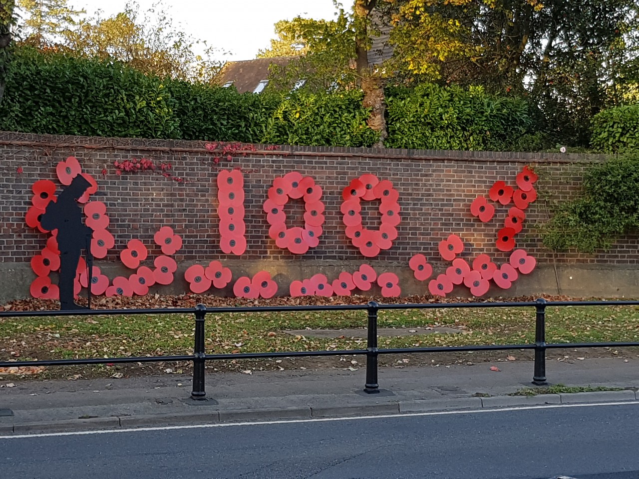 Commemorative Display of Poppies 