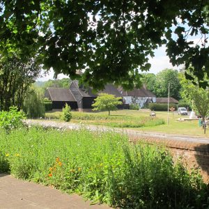 Bucklandchurchyardwildflowers